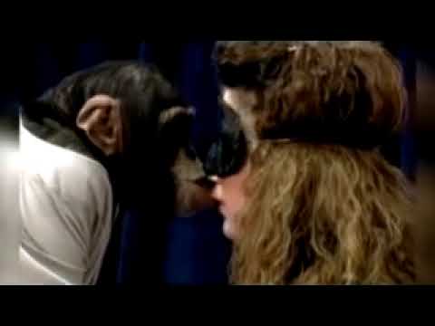 Mono adorable besa a mujer y derrite corazones